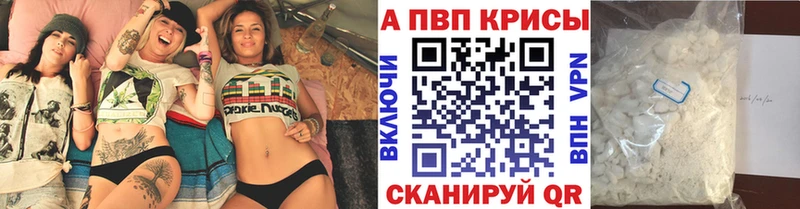 Купить где  Киров  A PVP крисы CK 