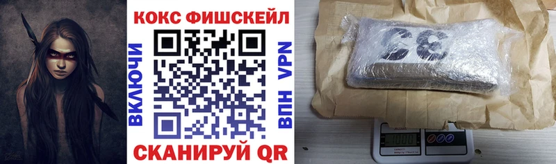 Купить закладки  Киров  Cocaine Fish Scale 