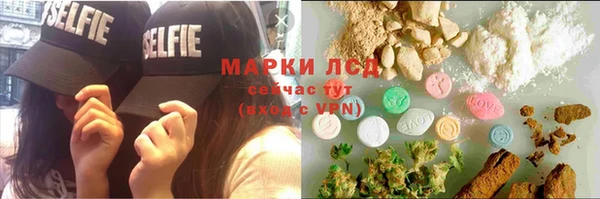 шишки Магадан