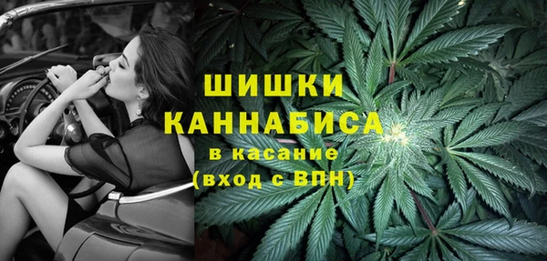 сатива Магас