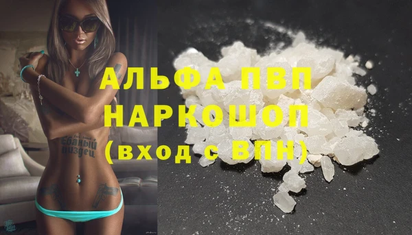 сатива Магас