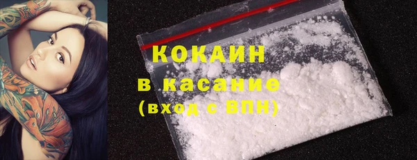 шишки Магадан