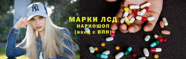 сатива Магас