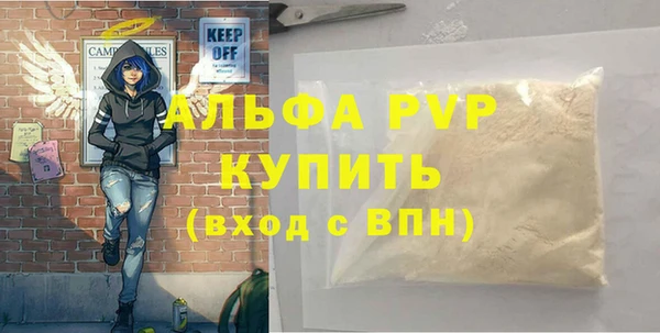 шишки Магадан