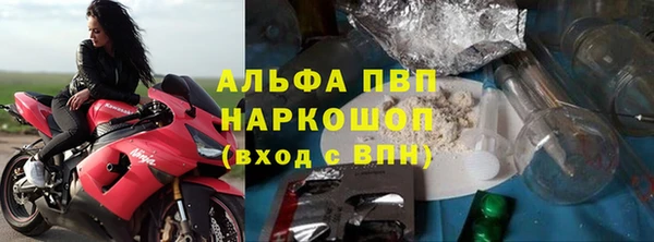 сатива Магас